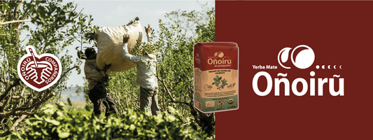 Exklusives Bio-Mate-Tee aus Paraguay. Limitierter Produktion